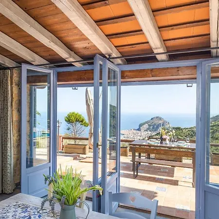 Malandrino Nyaraló *